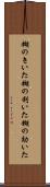 糊のきいた Scroll