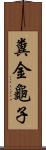 糞金龜子 Scroll