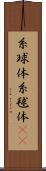 糸球体 Scroll