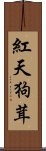 紅天狗茸 Scroll