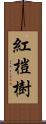 紅榿樹 Scroll