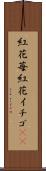 紅花苺 Scroll