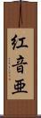紅音亜 Scroll