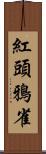 紅頭鴉雀 Scroll