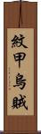 紋甲烏賊 Scroll