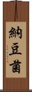 納豆菌 Scroll