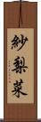 紗梨菜 Scroll