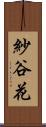 紗谷花 Scroll