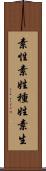 素性 Scroll