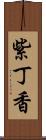 紫丁香 Scroll