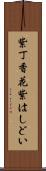 紫丁香花 Scroll