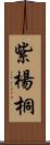 紫楊桐 Scroll