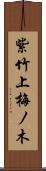 紫竹上梅ノ木 Scroll