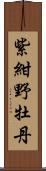 紫紺野牡丹 Scroll