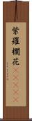 紫羅欄花(ateji) Scroll