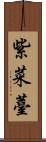 紫菜薹 Scroll