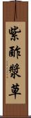 紫酢漿草 Scroll