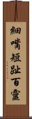 細嘴短趾百靈 Scroll