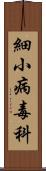 細小病毒科 Scroll
