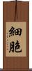細胞 Scroll