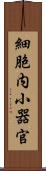 細胞内小器官 Scroll