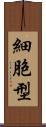 細胞型 Scroll