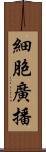 細胞廣播 Scroll