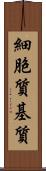 細胞質基質 Scroll