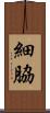 細脇 Scroll