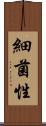細菌性 Scroll