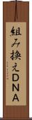 組み換えＤＮＡ Scroll