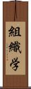 組織学 Scroll