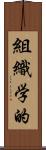 組織学的 Scroll