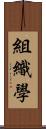 組織學 Scroll