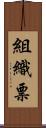 組織票 Scroll