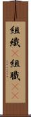 組織(P) Scroll