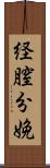 経膣分娩 Scroll