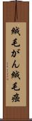 絨毛がん Scroll