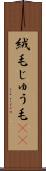 絨毛 Scroll