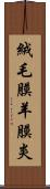 絨毛膜羊膜炎 Scroll