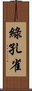 綠孔雀 Scroll