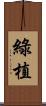 綠植 Scroll
