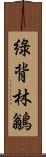 綠背林鶲 Scroll