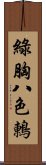 綠胸八色鶇 Scroll