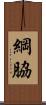 綱脇 Scroll