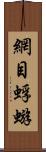 網目蜉蝣 Scroll