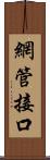 網管接口 Scroll