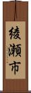 綾瀬市 Scroll