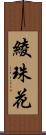 綾珠花 Scroll