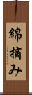 綿摘み Scroll